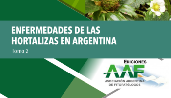 Enefermedades hortalizas II