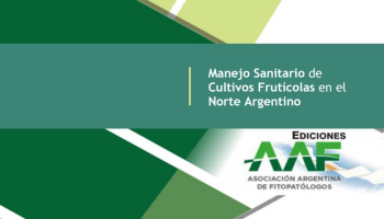 Libro Enfermedades