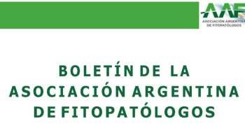 boletin final