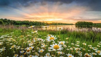 tnc_52987642_Full